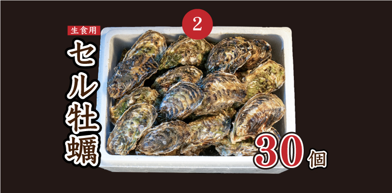 セル牡蠣30個